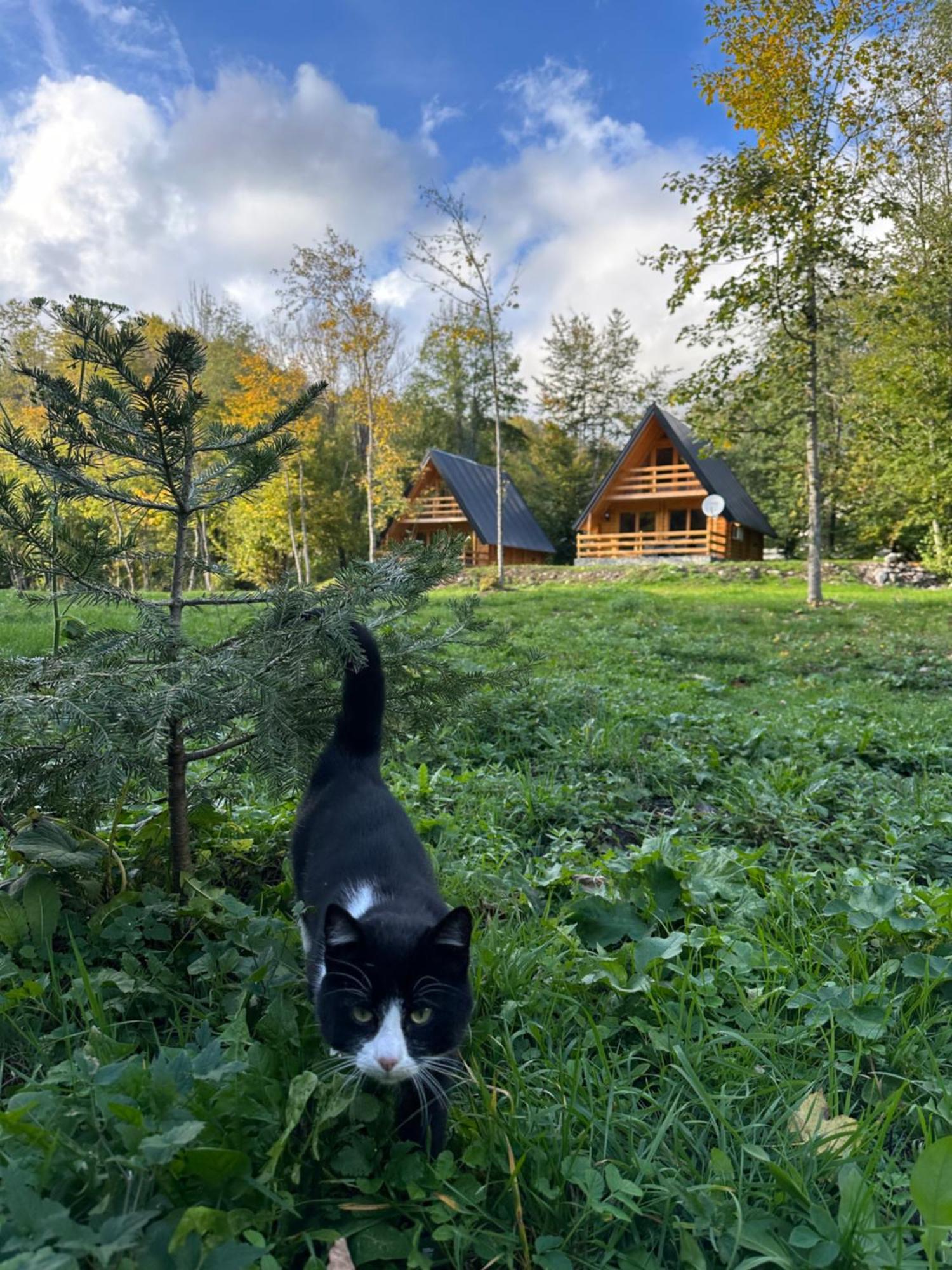 Ethno Village Long Story Kolašin Exterior foto